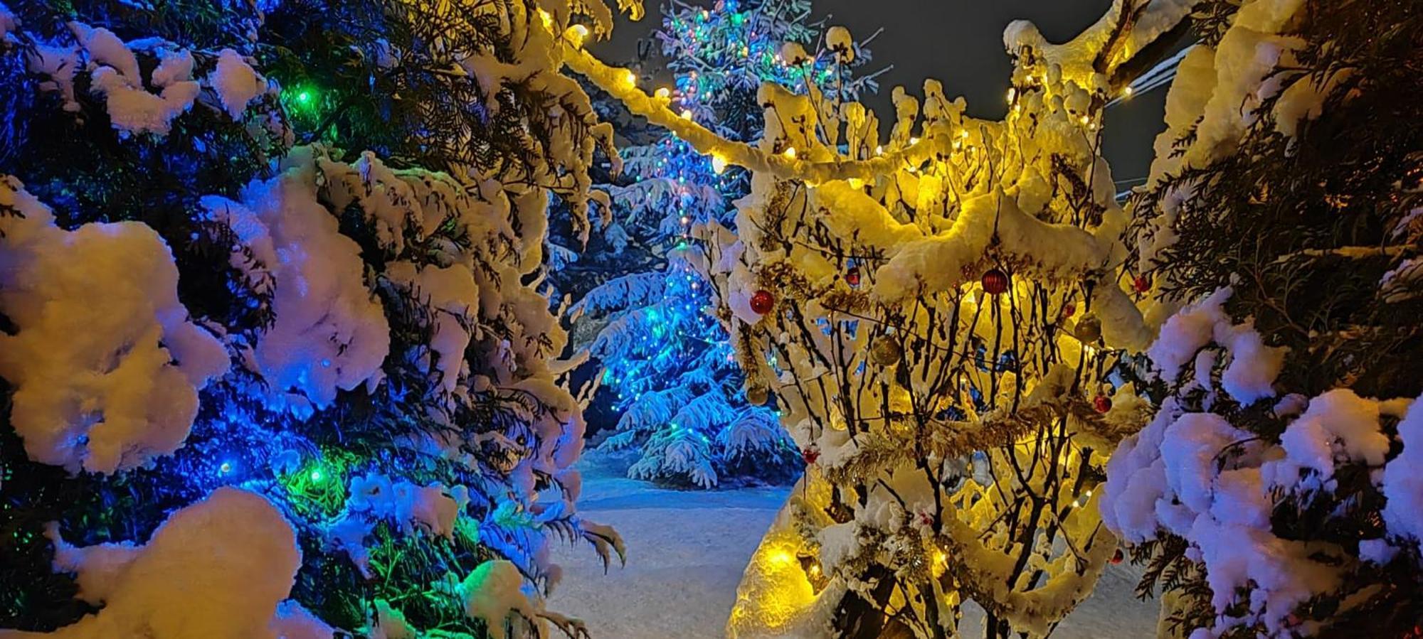 Eden Garden Sovata Villa Eksteriør bilde
