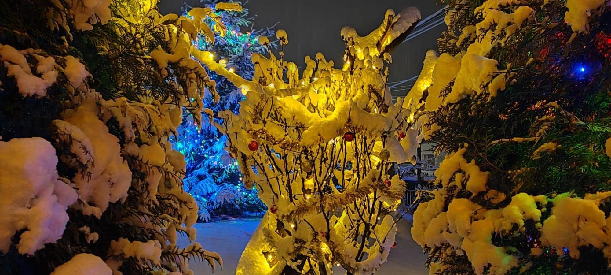 Eden Garden Sovata Villa Eksteriør bilde