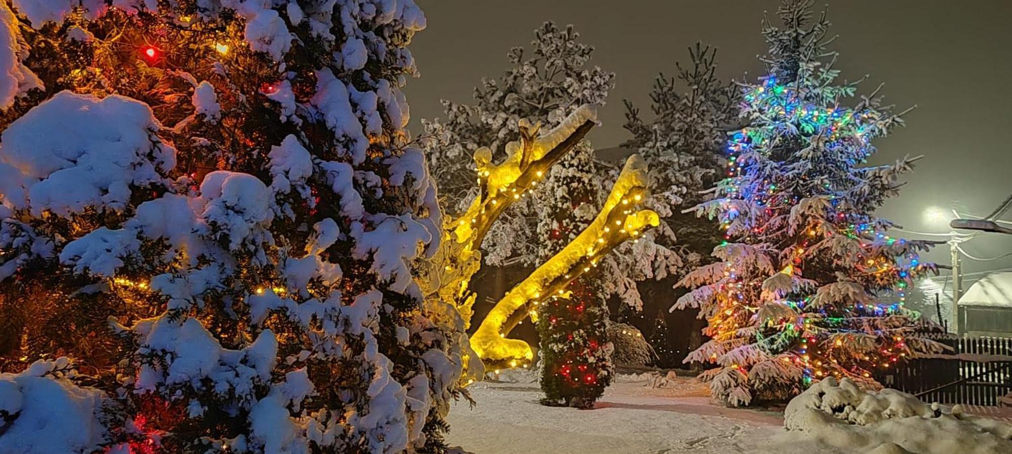 Eden Garden Sovata Villa Eksteriør bilde