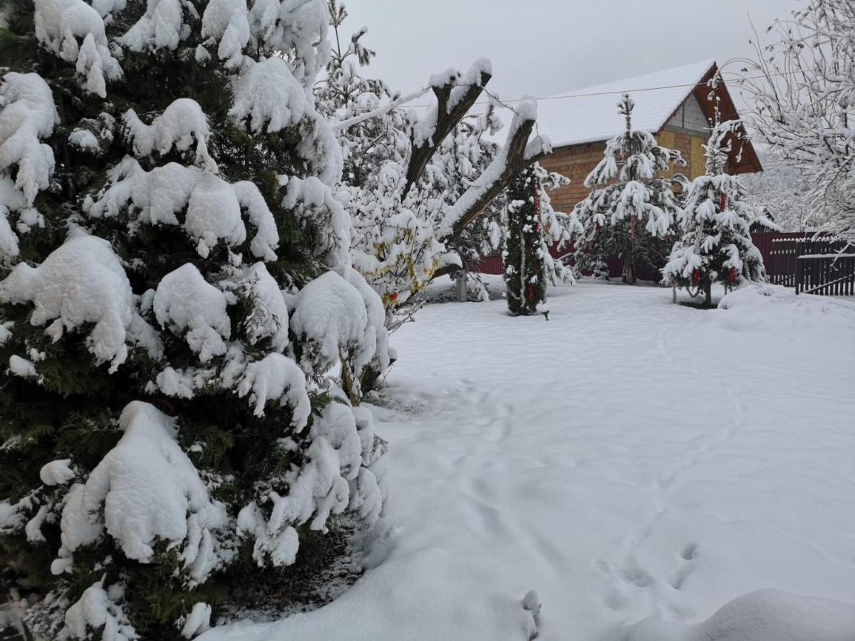Eden Garden Sovata Villa Eksteriør bilde