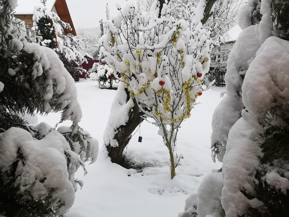 Eden Garden Sovata Villa Eksteriør bilde