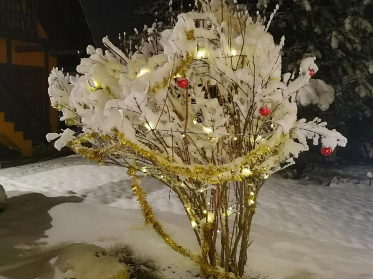 Eden Garden Sovata Villa Eksteriør bilde